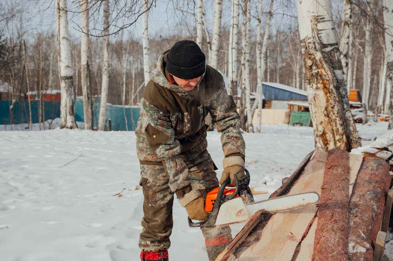 Tree Root Removal in Washington, IL